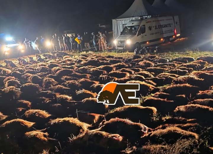 Resultado Montería Herdade do Porto 2025 Encicaza